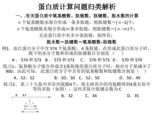 蛋白质计算方法归纳