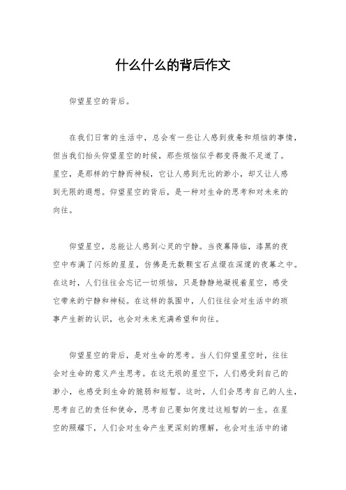 什么什么的背后作文