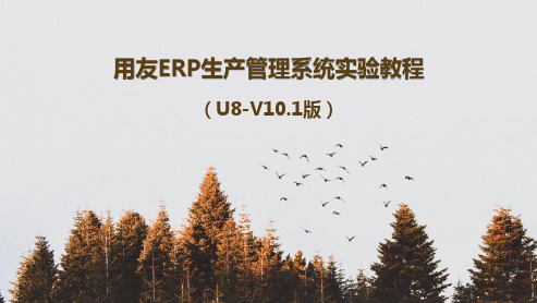 用友ERP生产管理系统实验教程(U8-V10.1版)课件完整版