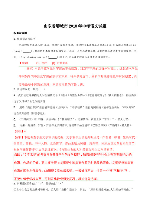 山东省聊城市中考语文试题word版解析版