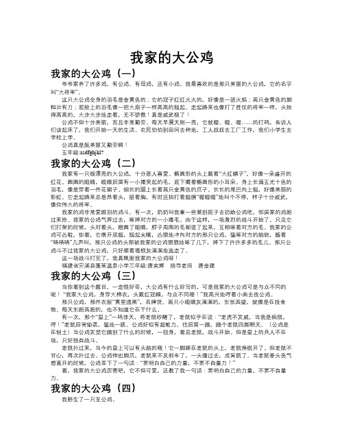 我家的大公鸡作文共九篇