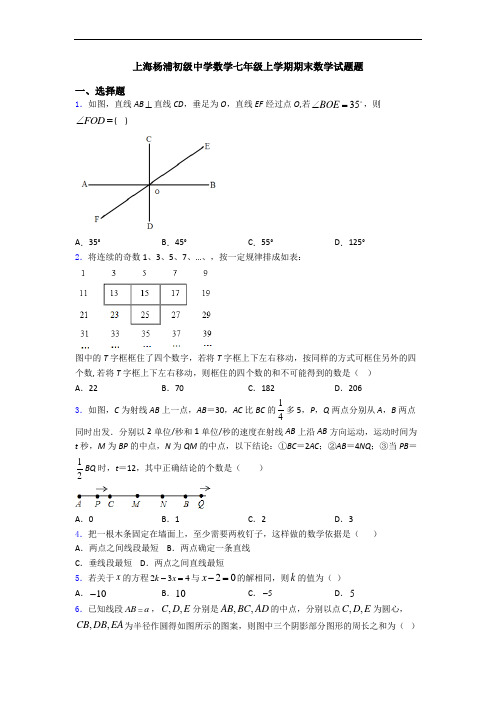 上海杨浦初级中学数学七年级上学期期末数学试题题