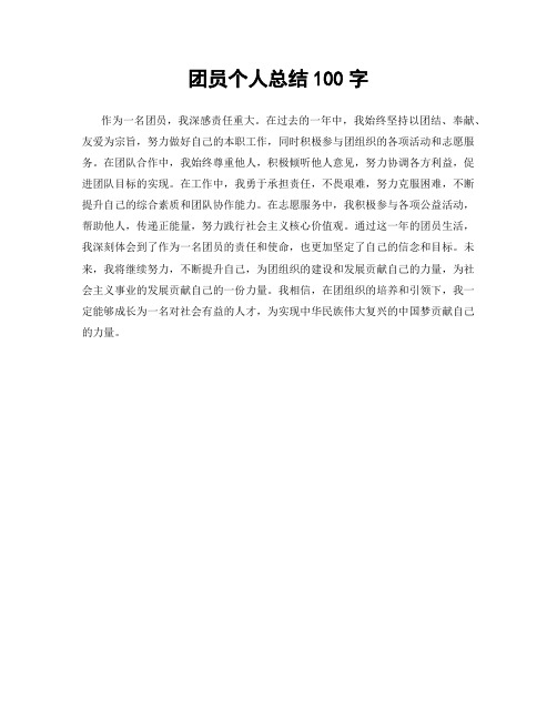 团员个人总结100字