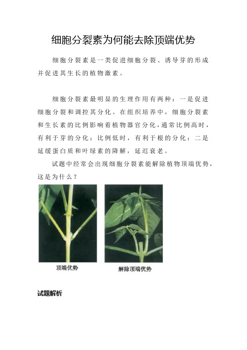 细胞分裂素为何能去除顶端优势