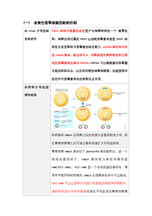 金黄色葡萄球菌的耐药机制