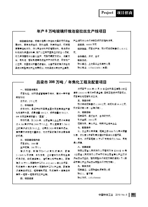 年产8万吨玻璃纤维池窑拉丝生产线项目