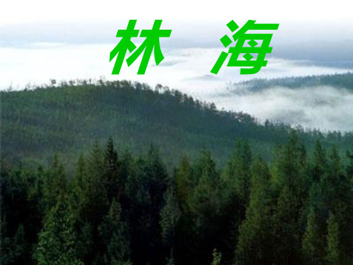 长春版五年级上册语文《1-1林海》课件