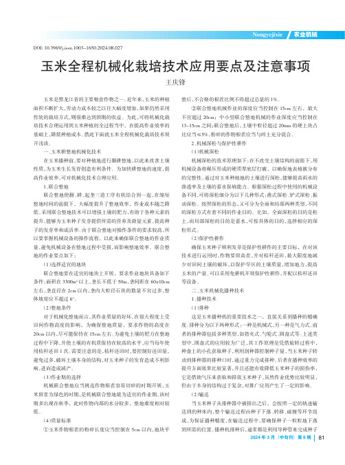 玉米全程机械化栽培技术应用要点及注意事项