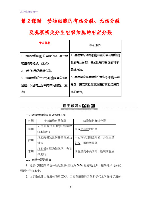 人教版生物必修一讲义：动物细胞的有丝分裂、无丝分裂及观察根尖分生组织细胞的有丝分裂