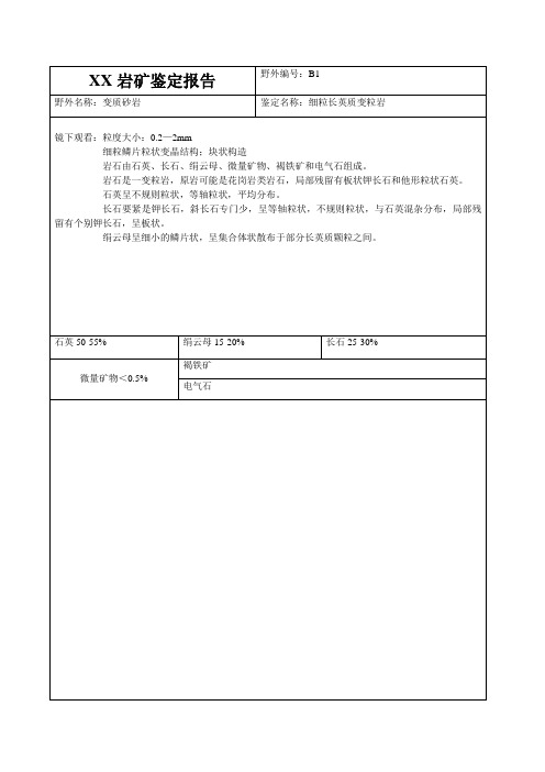 XX岩矿鉴定报告