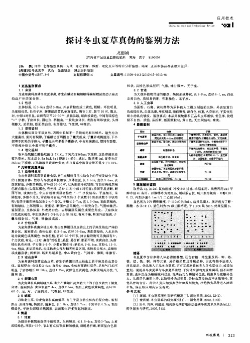 探讨冬虫夏草真伪的鉴别方法