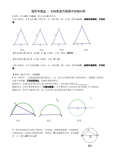 专题三 无刻度直尺画图中的轴对称