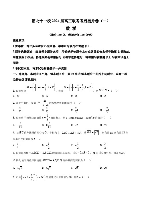 湖北省十一校2024届高三联考考后提升数学模拟训练一(含答案与解析)_5674