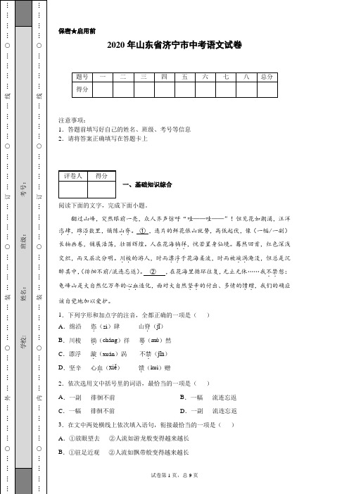 2020年山东省济宁市中考语文试卷(含详细解析)