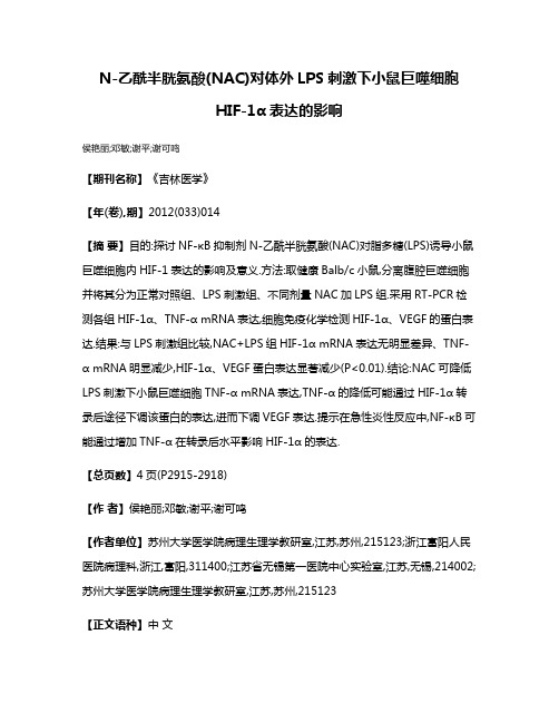 N-乙酰半胱氨酸(NAC)对体外LPS刺激下小鼠巨噬细胞HIF-1α表达的影响