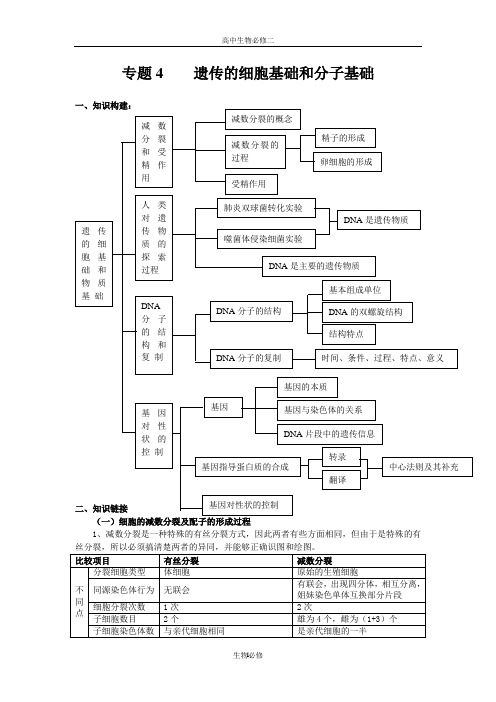 人教版试题试卷二轮复习-4专题四：遗传的细胞基础和分子基础