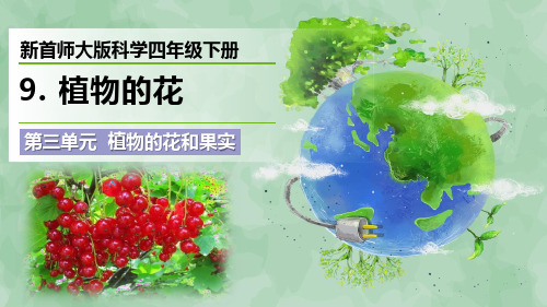 新首师大版科学四年级下册第三单元 植物的花和果实《植物的花》优质课件