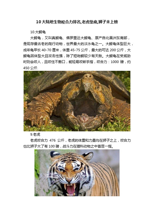 10大陆地生物咬合力排名,老虎垫底,狮子未上榜