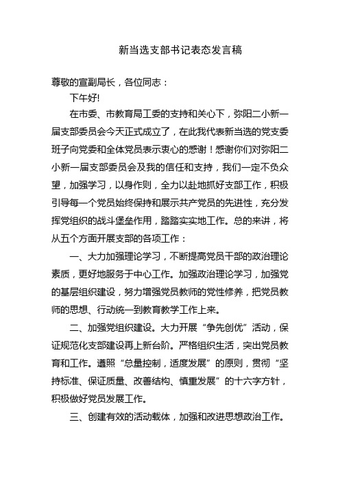 学校新当选支部书记在支部大会上表态发言