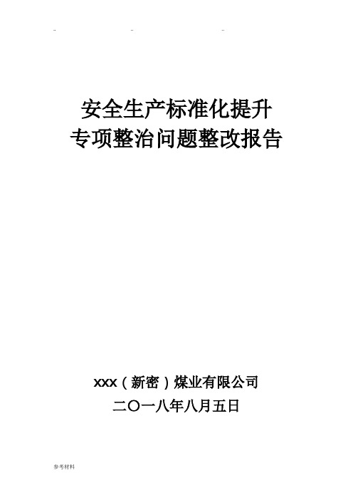 标准化提升专项整治问题整改报告