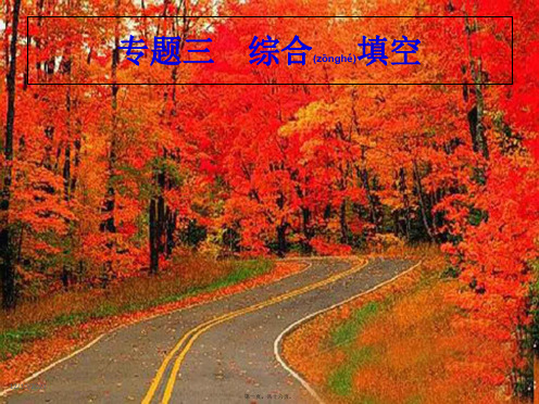 中考英语总复习提分特训精讲第二编题型解法指导专题三综合填空