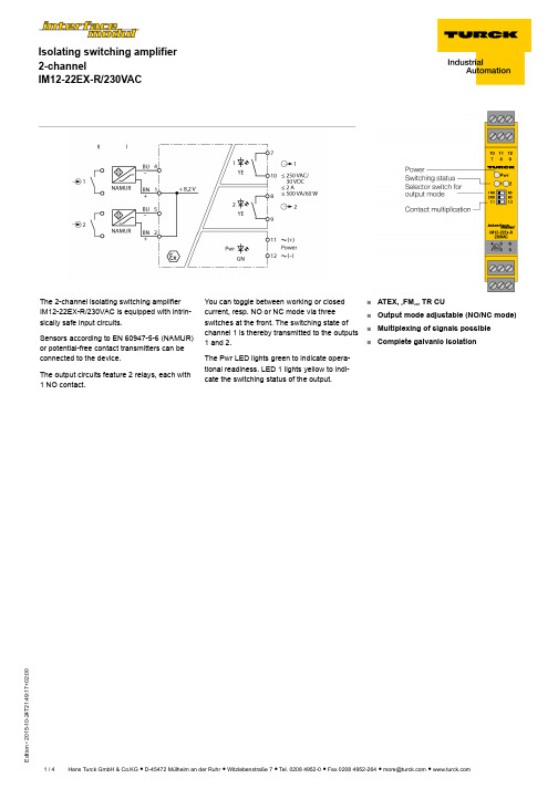 Isolating Switching Amplifier 2-channel IM12-22EX-