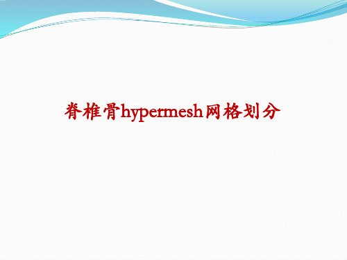 Hypermesh 网格划分