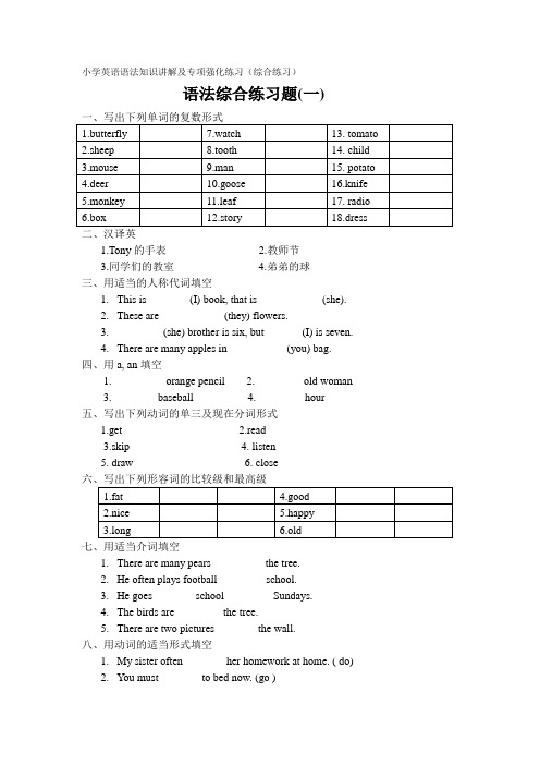 小学英语语法知识讲解及专项强化练习10