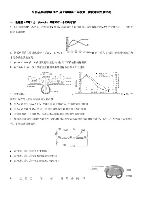 河北省实验中学2021届上学期高三年级第一阶段考试生物试卷