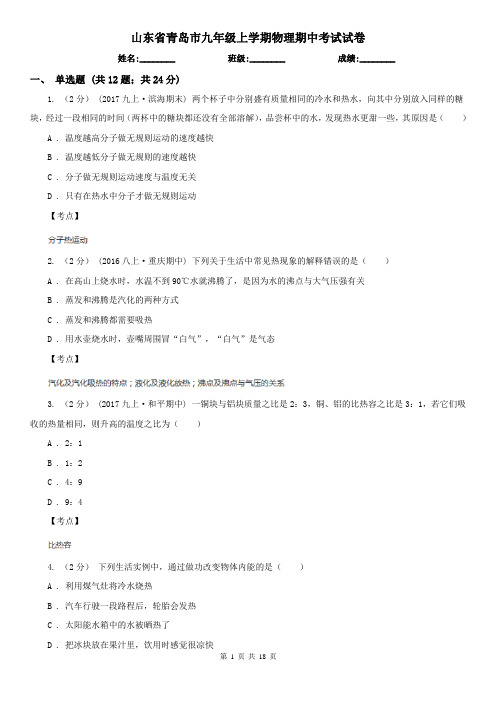 山东省青岛市九年级上学期物理期中考试试卷