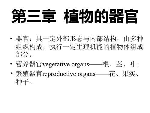 莱职院药用植物学课件03植物的器官-1根