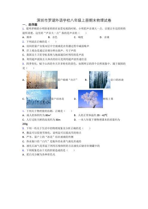 深圳市罗湖外语学校八年级上册期末物理试卷