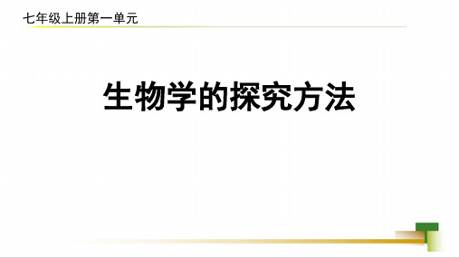 第三节生物学的探究方法课件-2023-2024学年济南版七年级生物上册