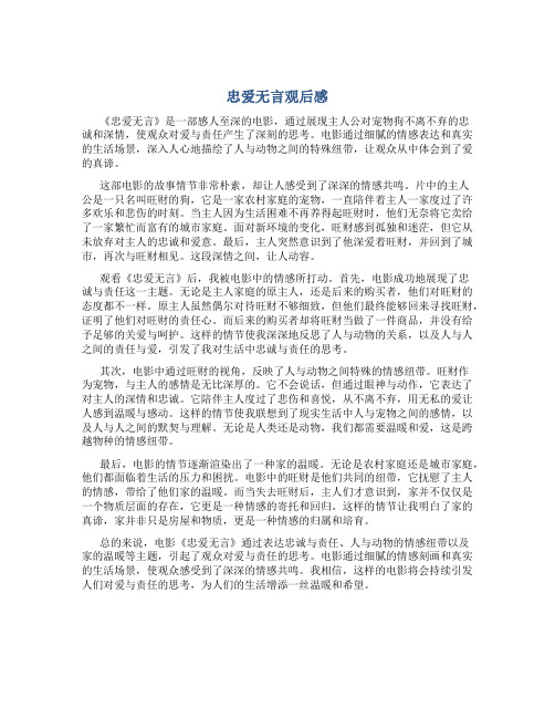 忠爱无言观后感一百字