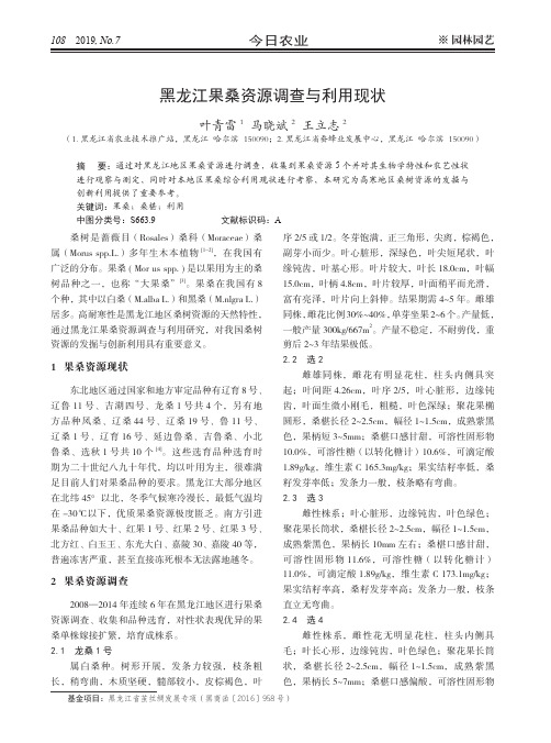 黑龙江果桑资源调查与利用现状