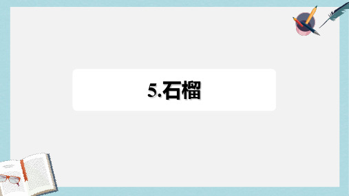 三年级语文上册第5单元16石榴习题课件2苏教版