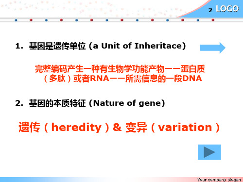 基因的结构和组合