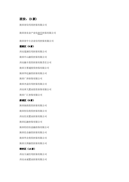 陕西省融资担保公司名录