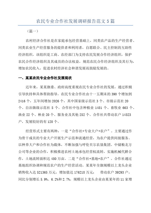 农民专业合作社发展调研报告范文5篇