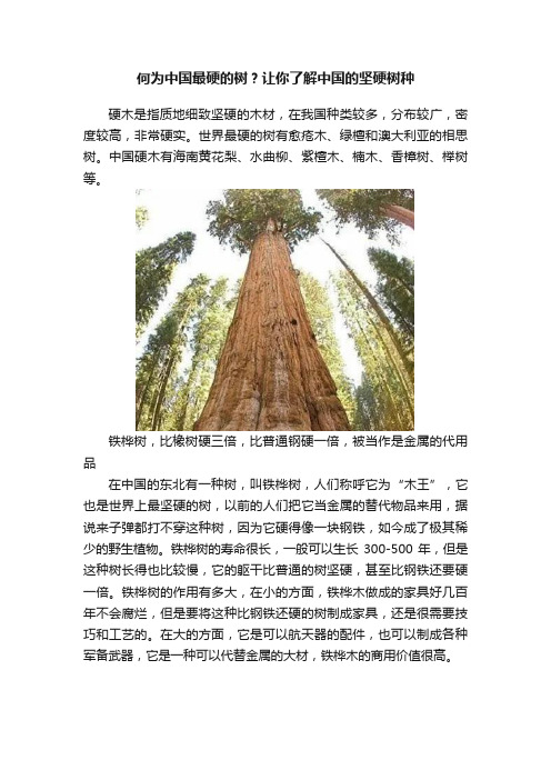 何为中国最硬的树？让你了解中国的坚硬树种