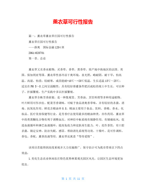 薰衣草可行性报告