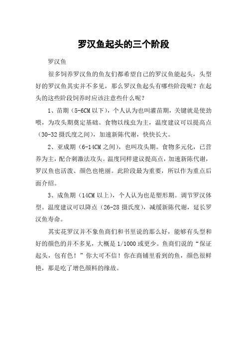 罗汉鱼起头的三个阶段
