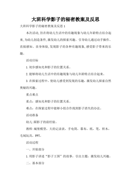 大班科学影子的秘密教案及反思