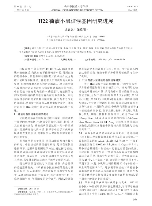 H22荷瘤小鼠证候基因进展