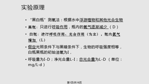 水体生态系统初级生产量的测定傅盛晟PPT课件