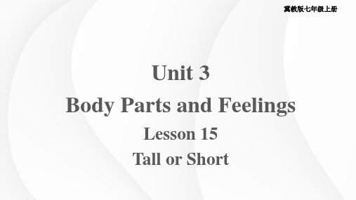 2023-2024学年英语冀教版七年级上册 Unit 3 Lesson 15 课件(七上)