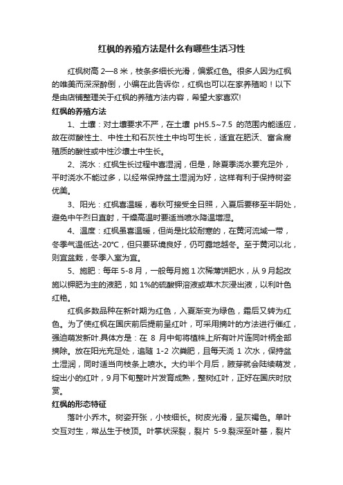 红枫的养殖方法是什么有哪些生活习性