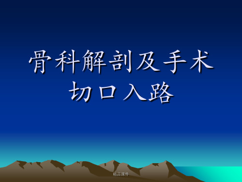 骨科解剖及手术切口入路