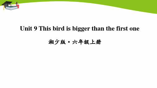 湘少六年级上册英语Unit 9 This bird is bigger than the first one