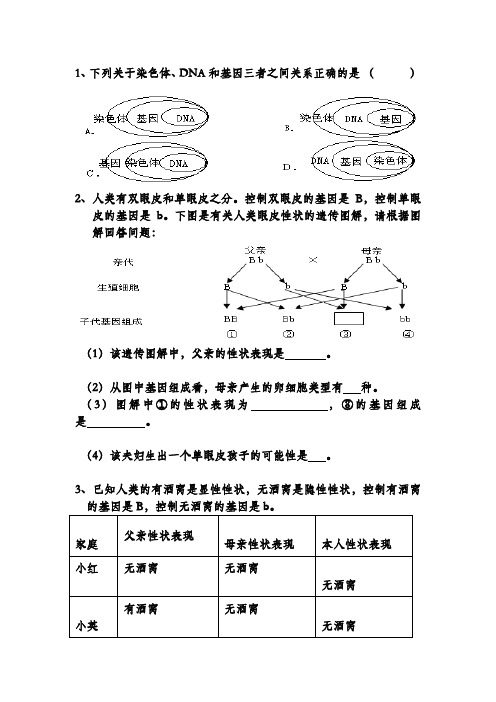 初中生物遗传部分练习卷